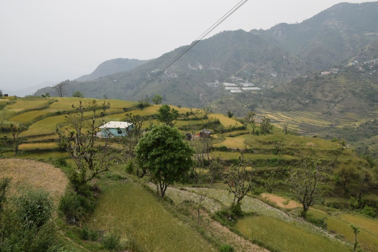 Terraced farmland across the hillside